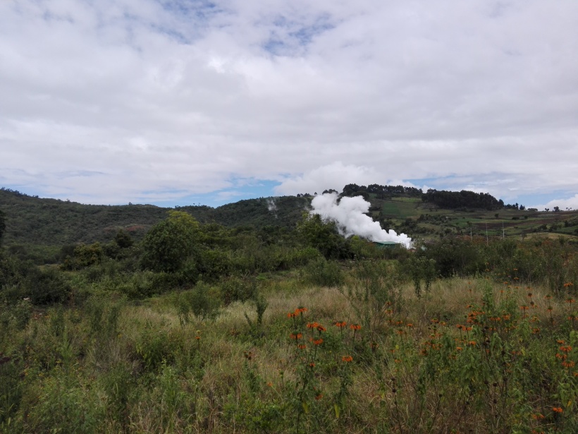 Geothermal plant in Eburu Forest, Kenya.