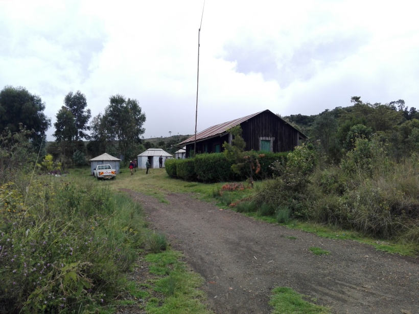 Offices at Eburu Forest, Kenya.